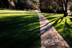 Sahar's Blog 2015 06 09 The Banality of Good