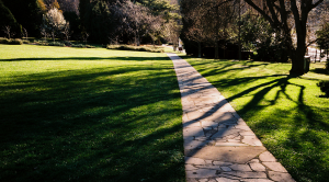 Sahar's Blog 2015 06 09 The Banality of Good