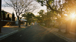 Sahar's Blog 2015 06 15 Community-Building and Friendship in the Era of Friends and The Big Bang Theory