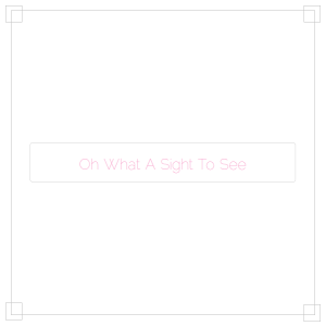Reviews 2016 03 04 Blog Review Oh What A Sight To See