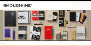 Sahar's Blog 2016 03 23 Product Review Moleskine’s Hard Cover Ruled Large Notebooks Part 1 of 2