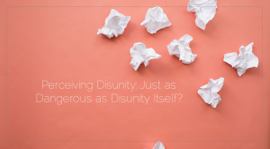 Sahar's Blog 2016 05 24 Perceiving Disunity Just as Dangerous as Disunity Itself