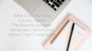 Sahar's Blog 2016 05 27 Family Feature What Does My Baby Actually Need The Balance Between Necessary Consumption Versus Over-Consumption